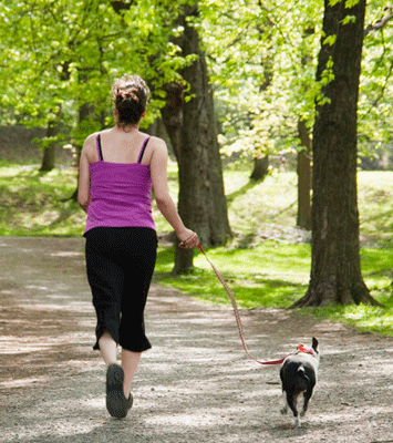 8147b4455691c0f8 run dog ti