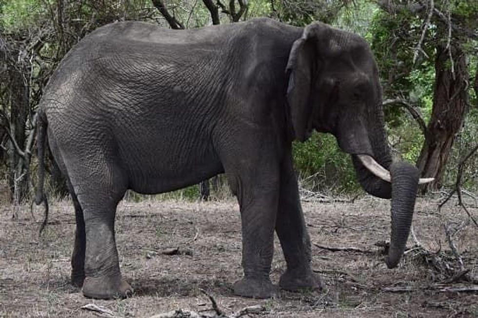 82a4ef535c1ad322506c443759bad111