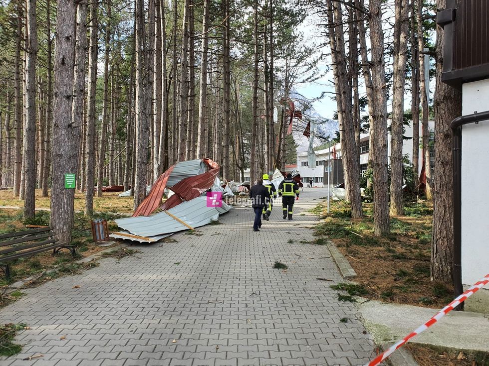 83347458 2532175403571770 7424373969303633920 n