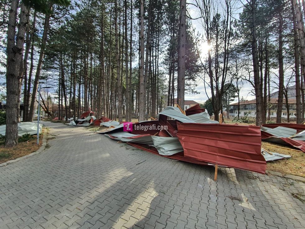 83496420 487345518594043 4473685369132417024 n