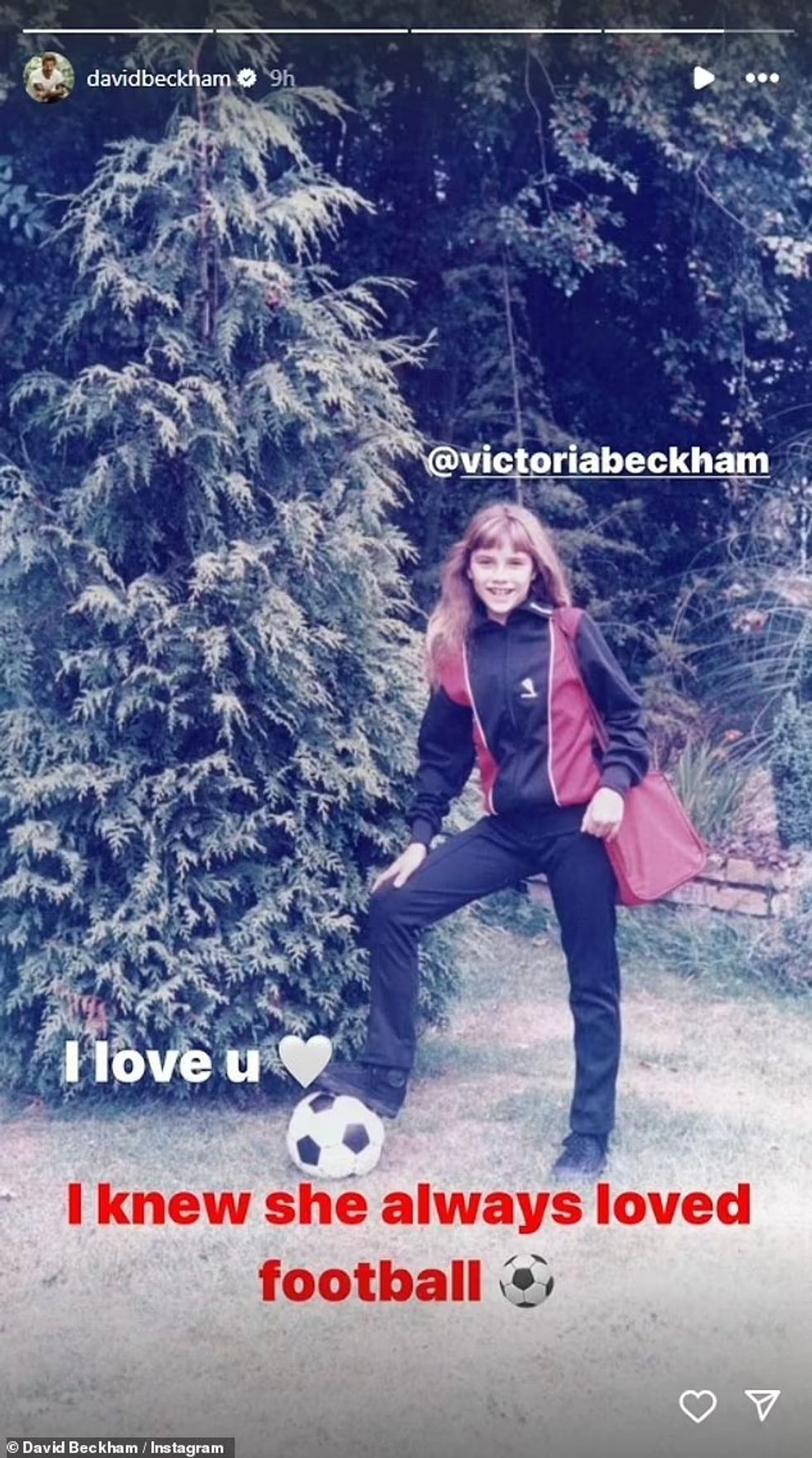 83797881 13322767 But David couldn t resist also poking fun at his wife posting a a 31 1713430919532