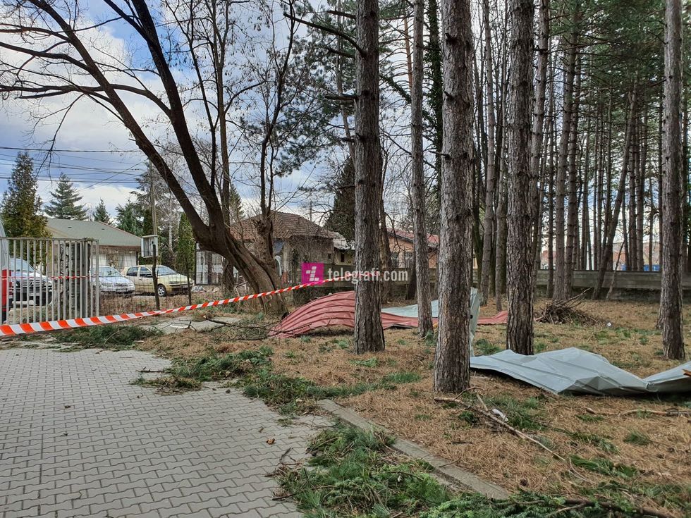 83971525 615760435881773 3444514490937245696 n