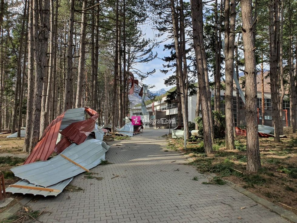 84003508 180605116506533 6534699140641718272 n