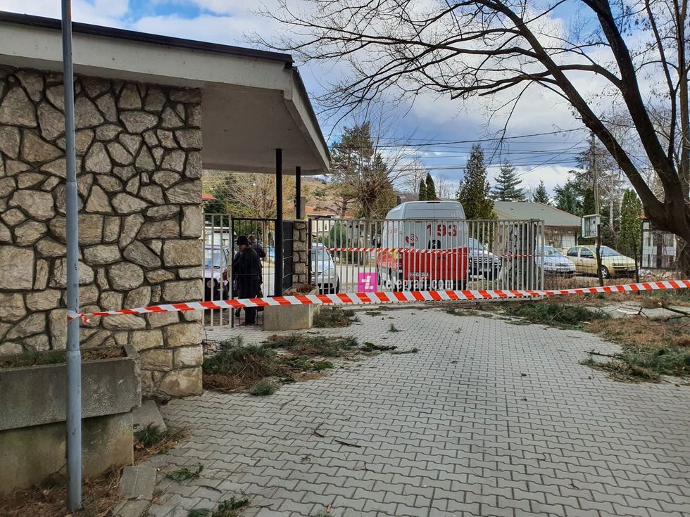 84096597 860149287731611 7086529475273293824 n