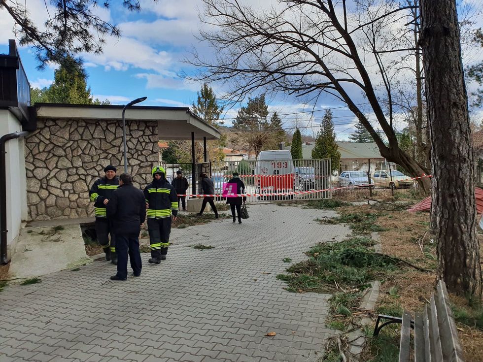 84142906 174952687123254 7738089680662429696 n