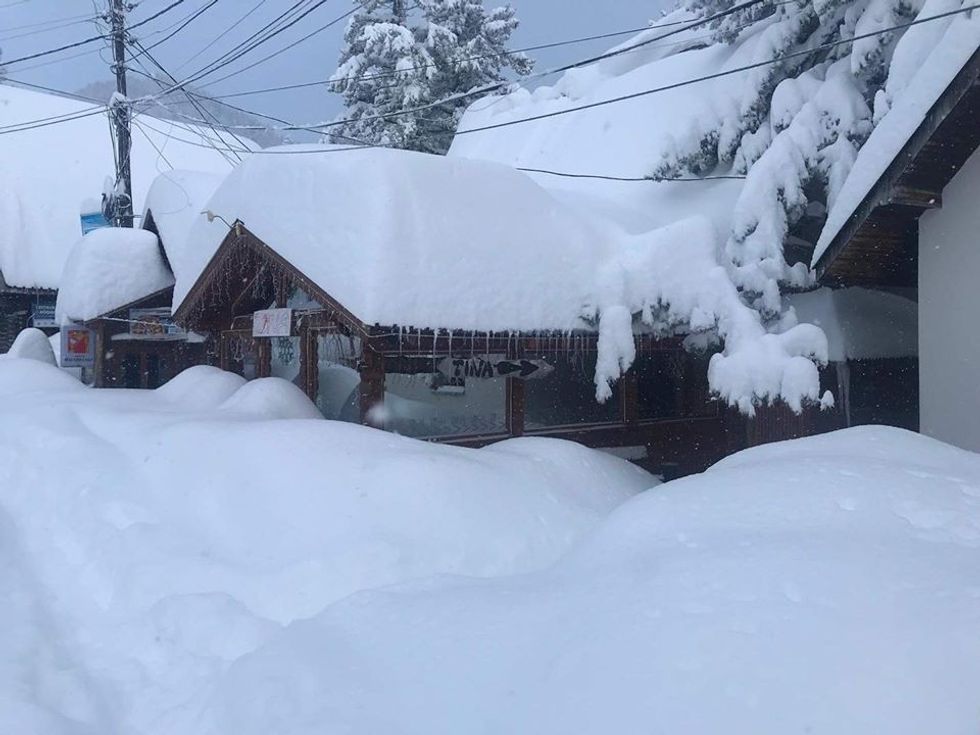 84232016 2872046899526819 7082723026147475456 o