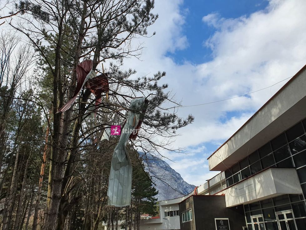 84267319 172211327399672 7512454711933403136 n