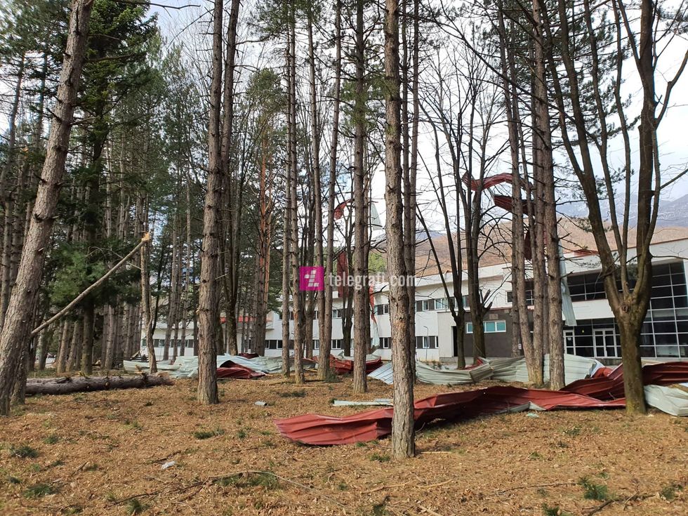 84418344 179335846632658 6360100284743548928 n