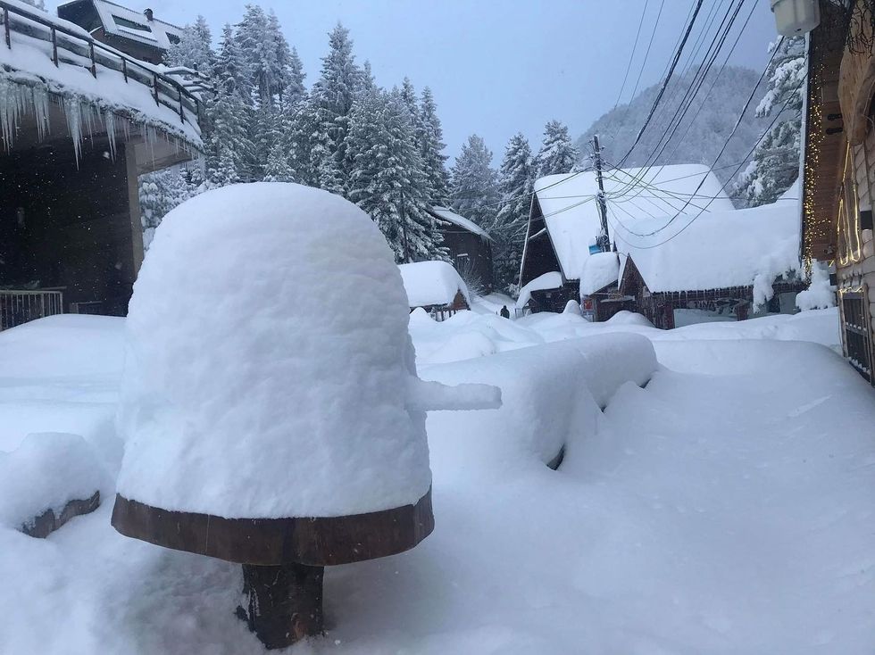 84508740 2872046946193481 7653496923923415040 o