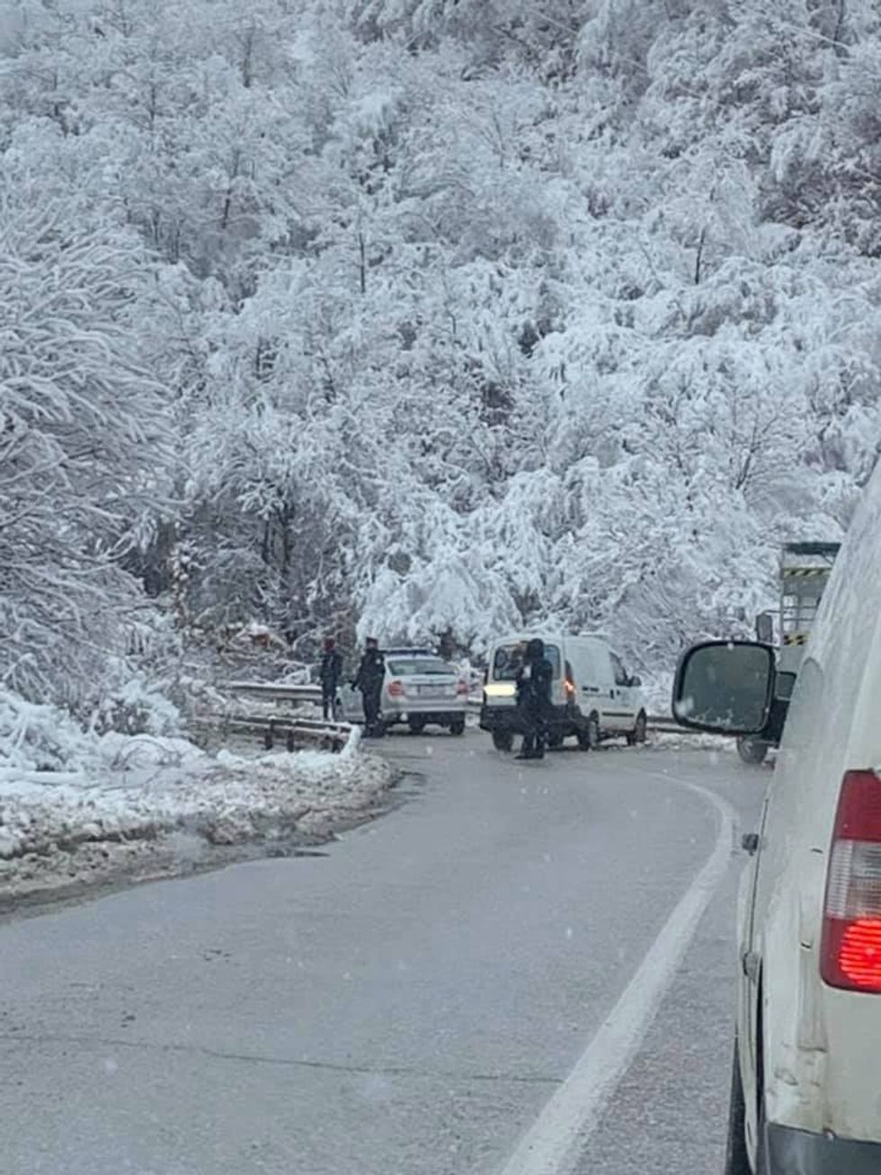 84678350 172452877387155 3553052308826750976 n