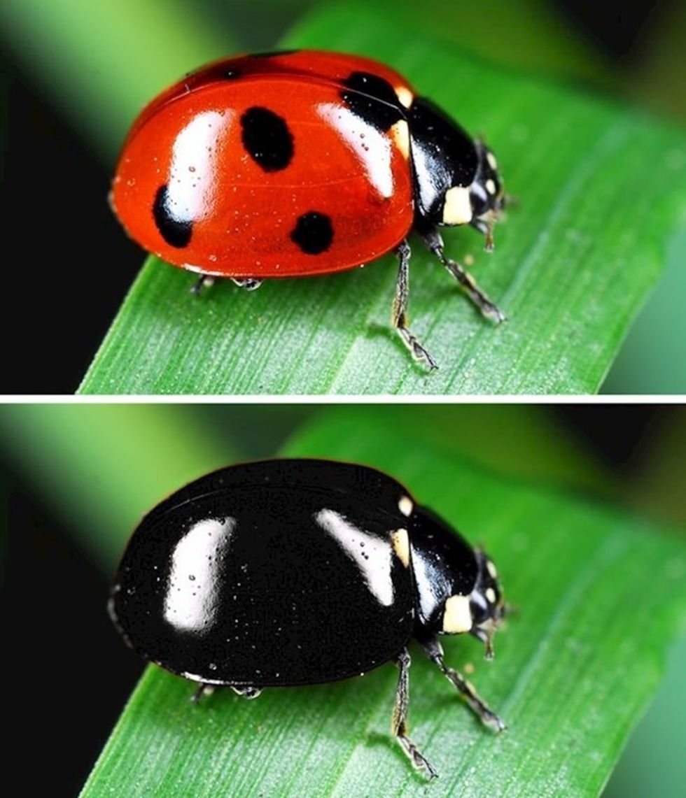 84c19022 0fce 4296 8349 8e1f724dd80e