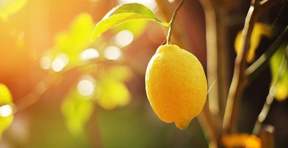 858ae89bced2b770df20