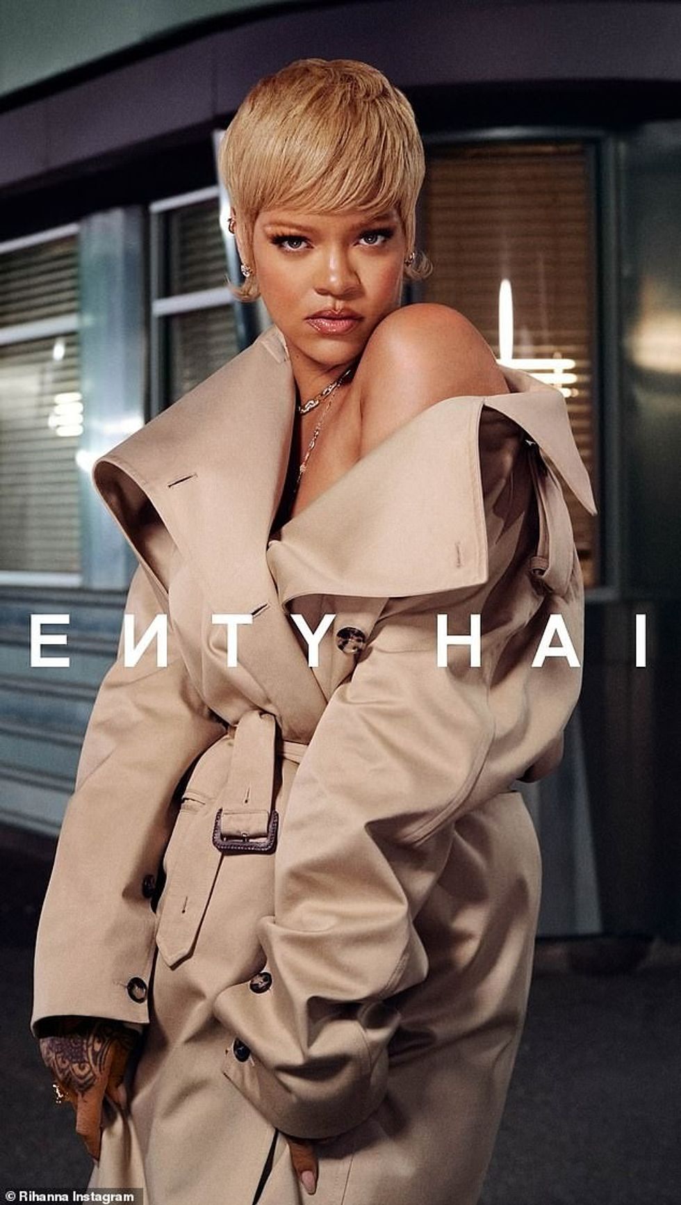 86273761 13543477 image a 29 1718728753304