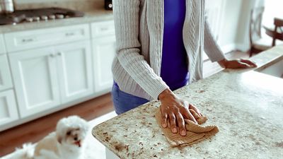 2023/12/1140-woman-wiping-down-kitchen-counter.jpg