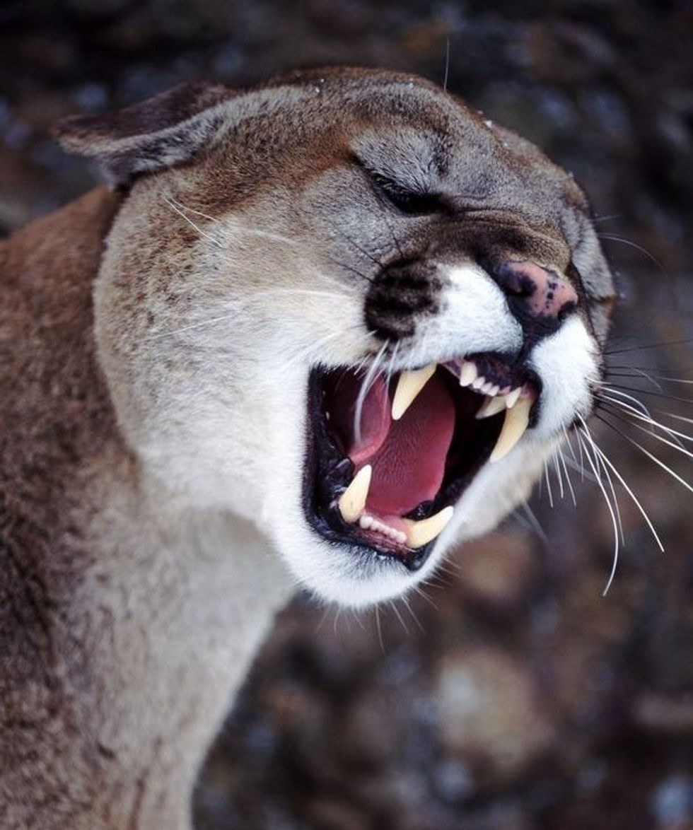 888 1 e1623613752570