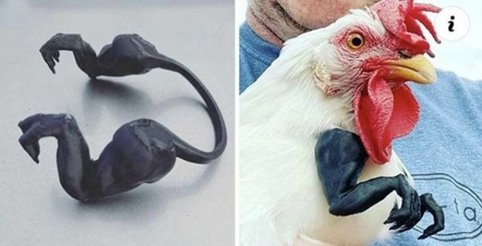 8c218295 b3dc 4682 9ddb aaeec5393992