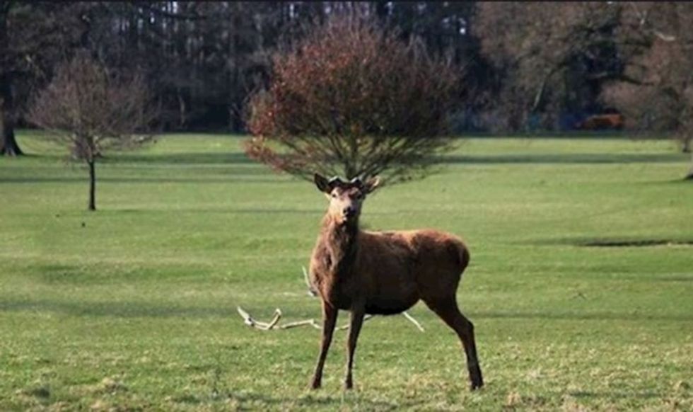 8e1c7404 3d99 4fb0 b207 39015d9c4458