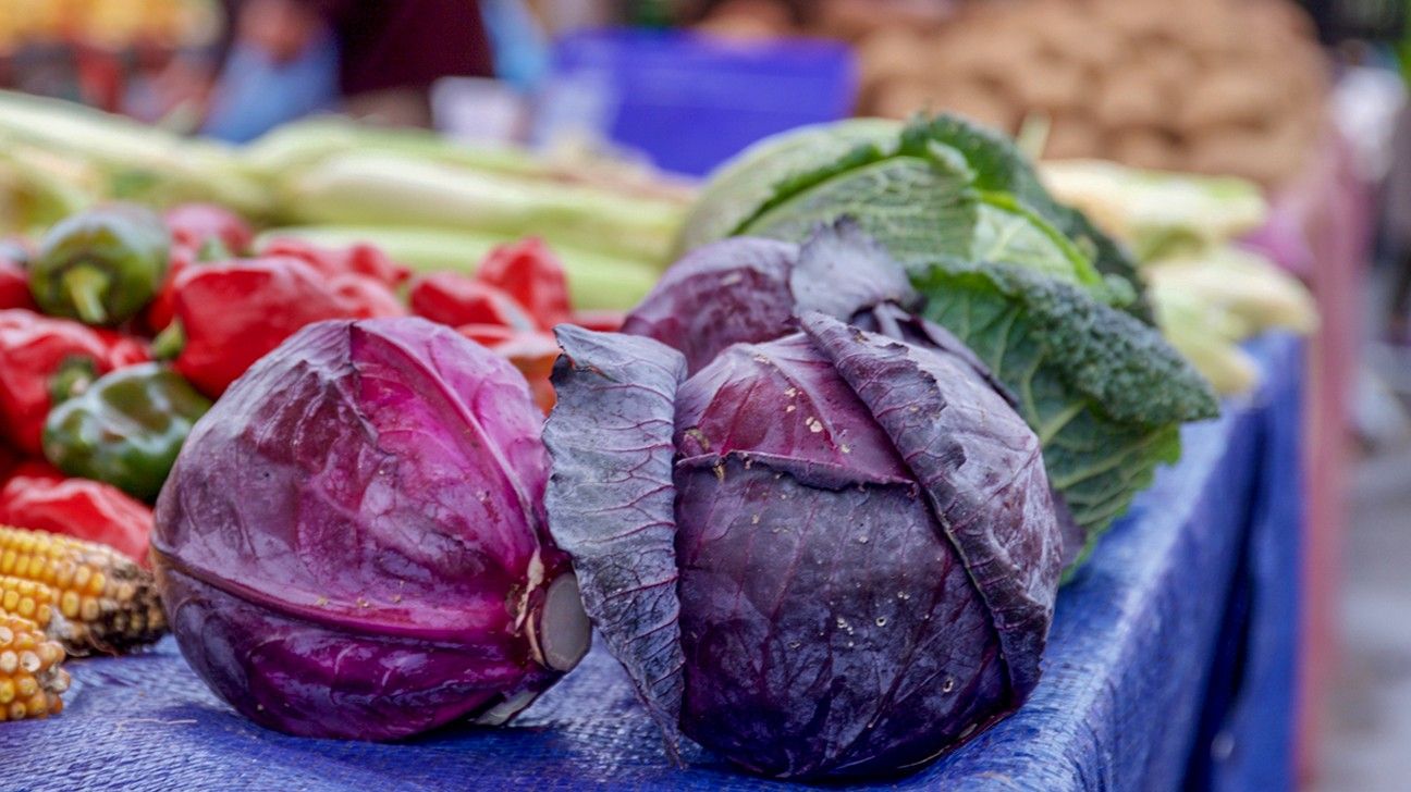 2019/12/purple-cabbage-1296x728-feature.jpg