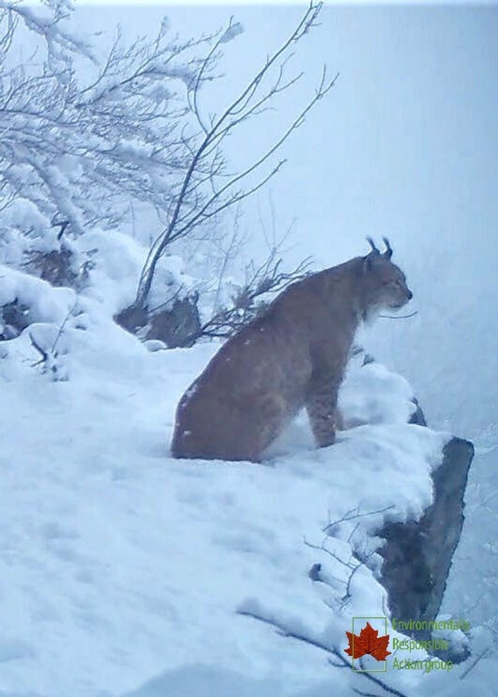 90114362 10158167810299414 128682541652639744 n