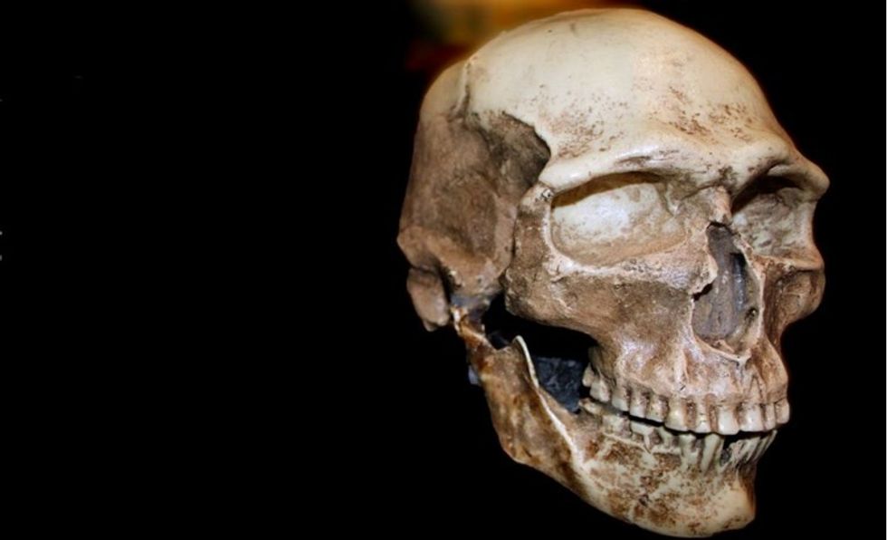 9016f7b9 8a46 44ff b905 e0e616ab4380