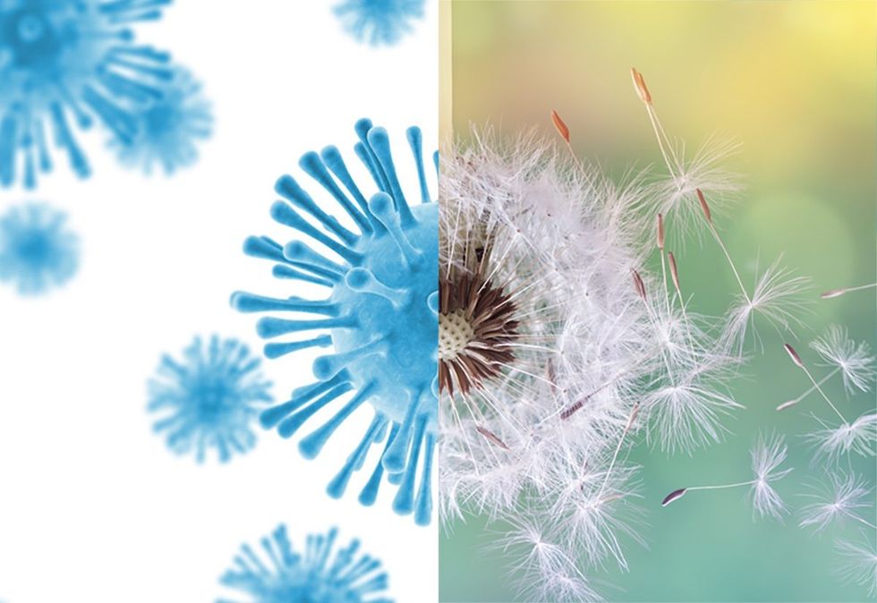 901b3414 a03f 4cf1 b8ae 0a4262e39559 1 rotated