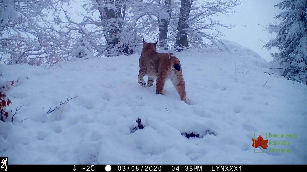 90427474 10158167810194414 9117856965408587776 o