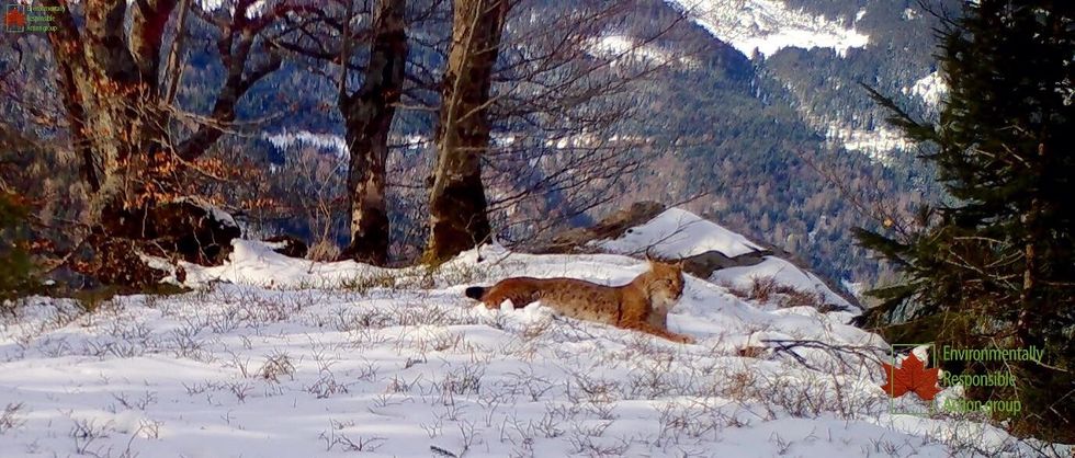 90480884 10158167809559414 7771062359342186496 o