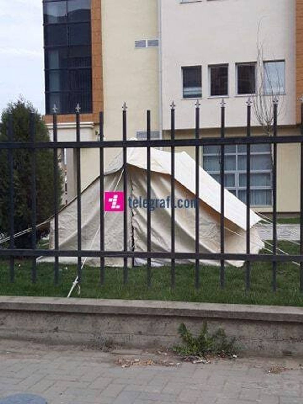 90508999 668164517291505 4943994827894161408 n