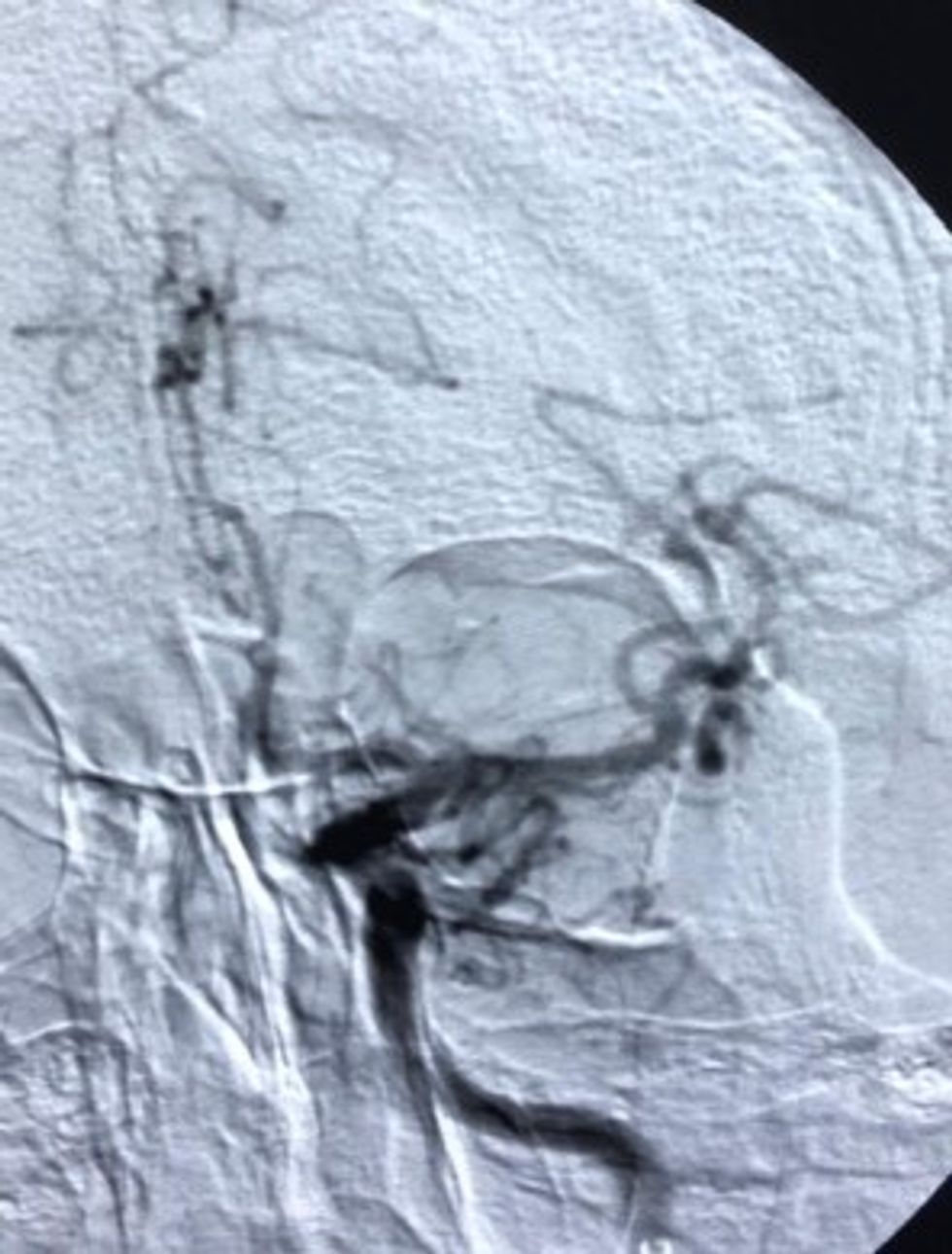 90584891 2539390609711063 7182698113767833600 n