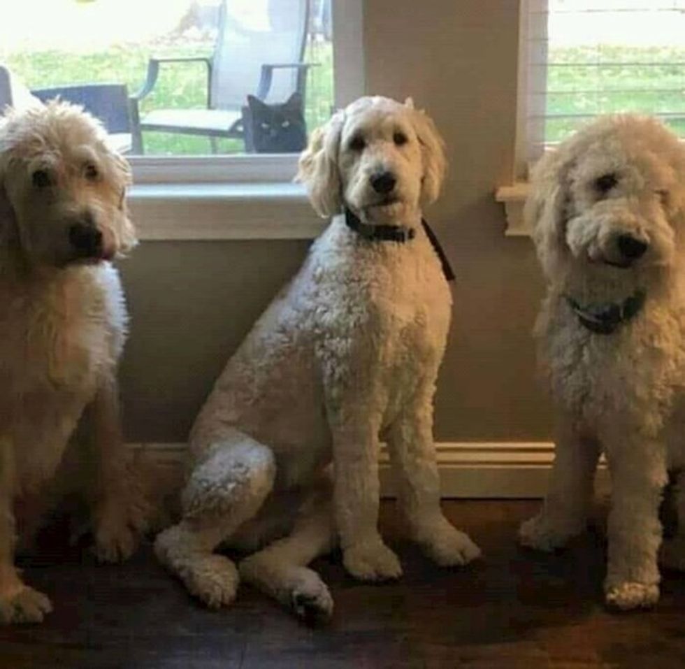 908c5884 bd41 4a45 9cf7 b5165d66fa21