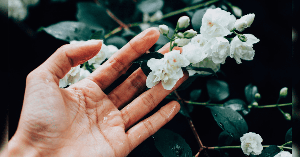 90b1efc0 2775 11ec bd76 dd6199034409 800 420