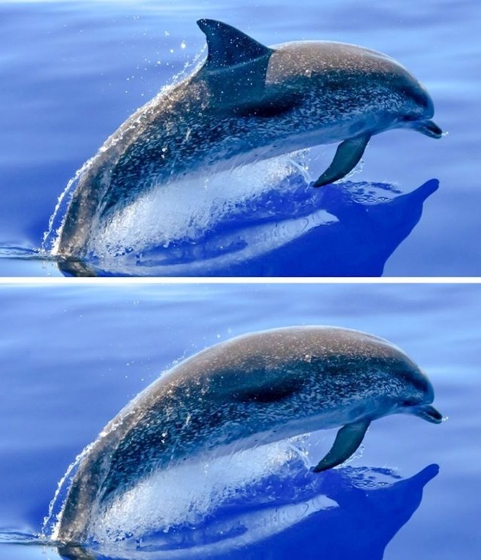 9154c004 044d 4fb8 9bec 0737f15bfa0a