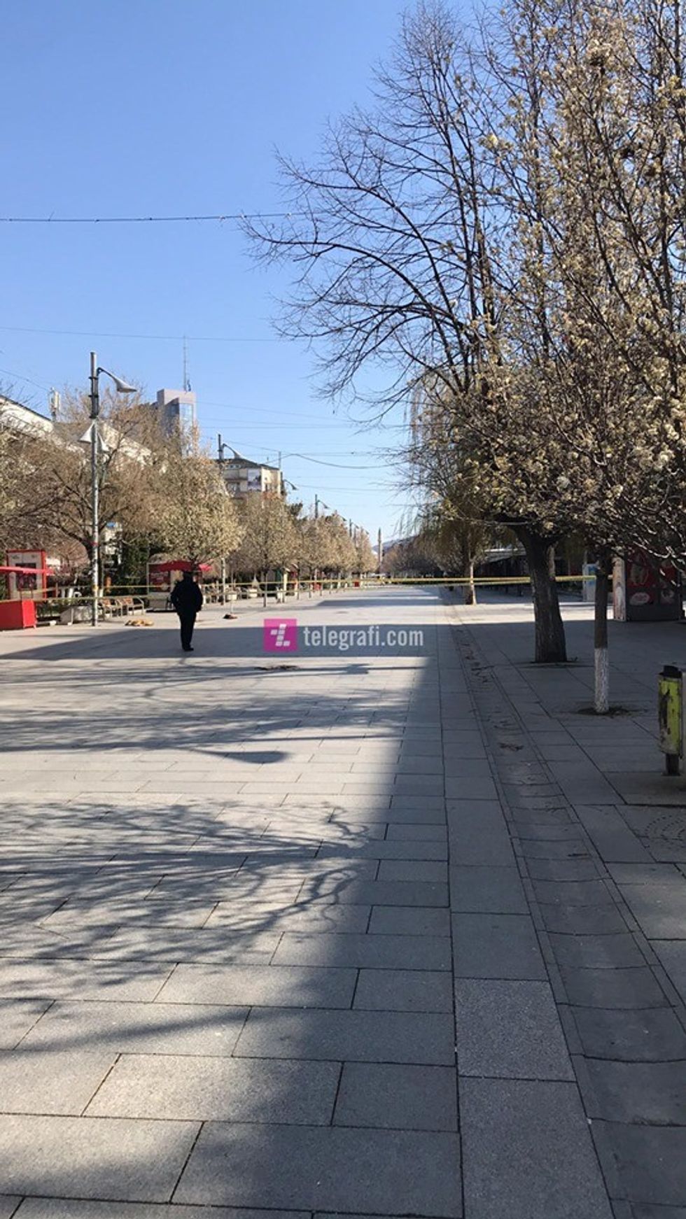 91907863 1123712387980965 7448521065715728384 n