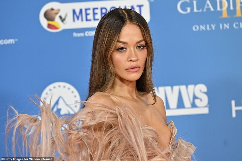 91910347 14065969 image a 115 1731264733604