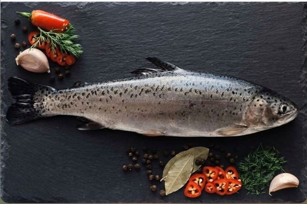 91990830 463400654375359 1817348727640162304 n