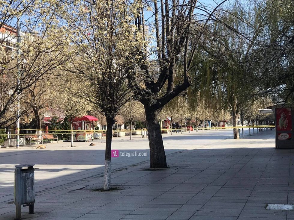 92066997 350006032621952 3672319328683819008 n