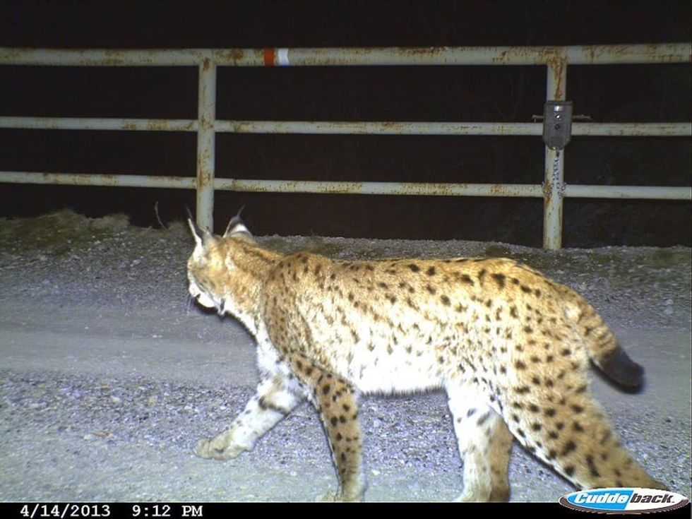 92123315 2840173292768250 7024749931248222208 o