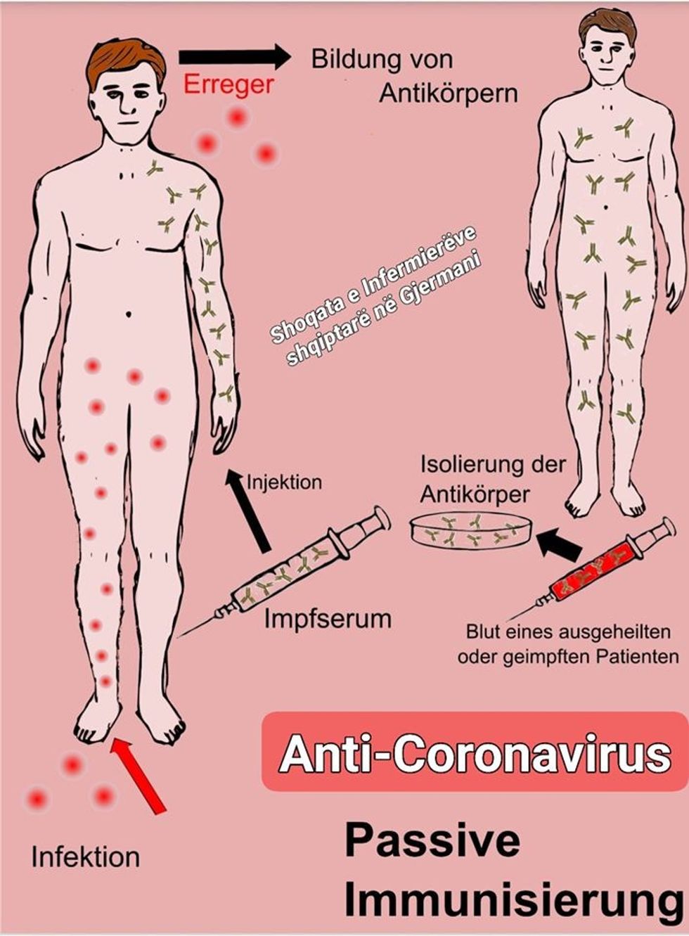 92211166 148582420025667 3009009647550988288 o