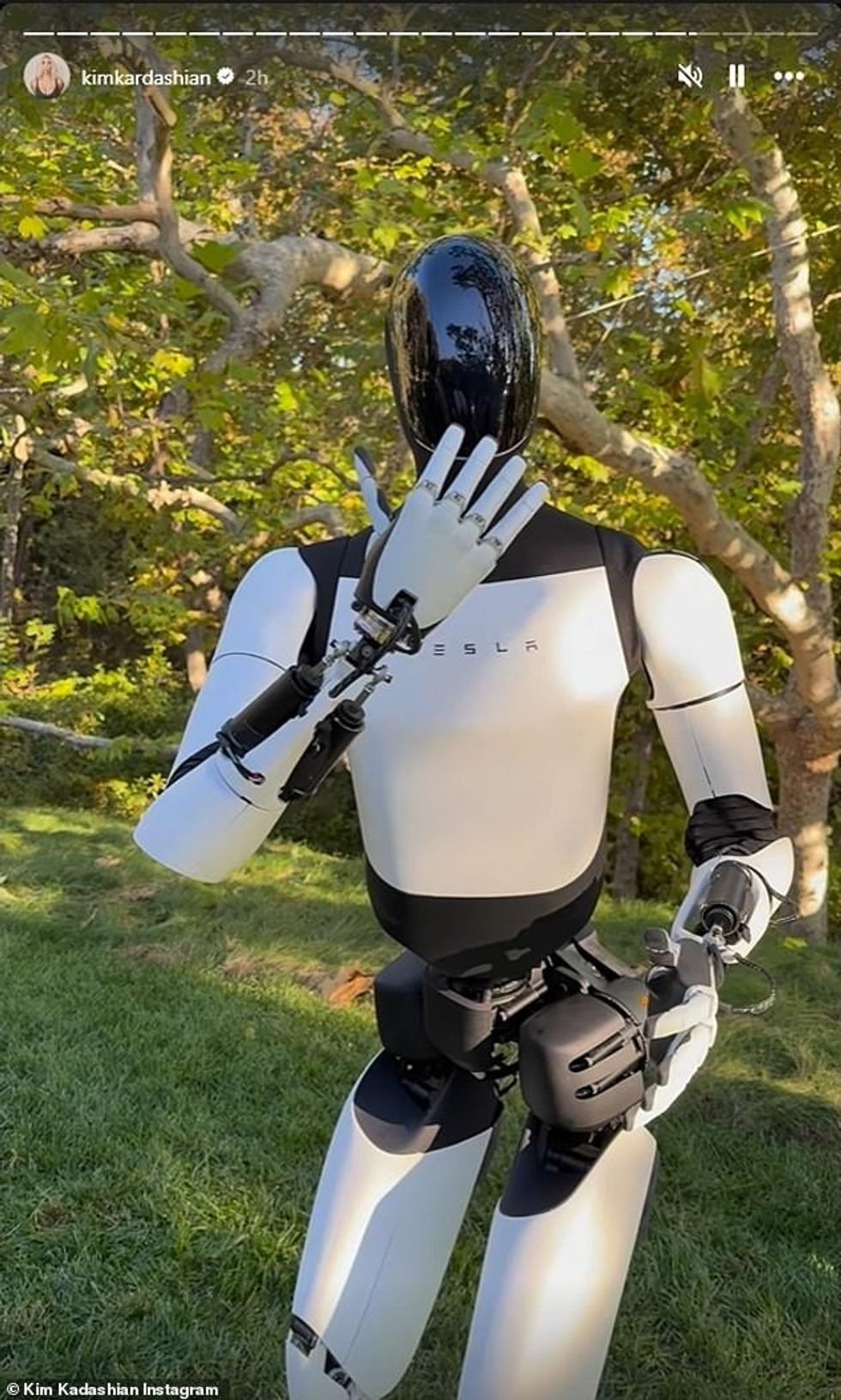 92214149 14098441 The robot mimed a running motion did a hula dance and placed a h a 11 1731969459727