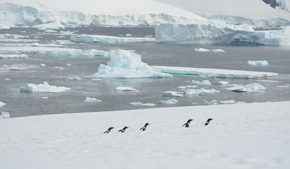 9252d6d5 f800 4167 ba5f b2be5927165e