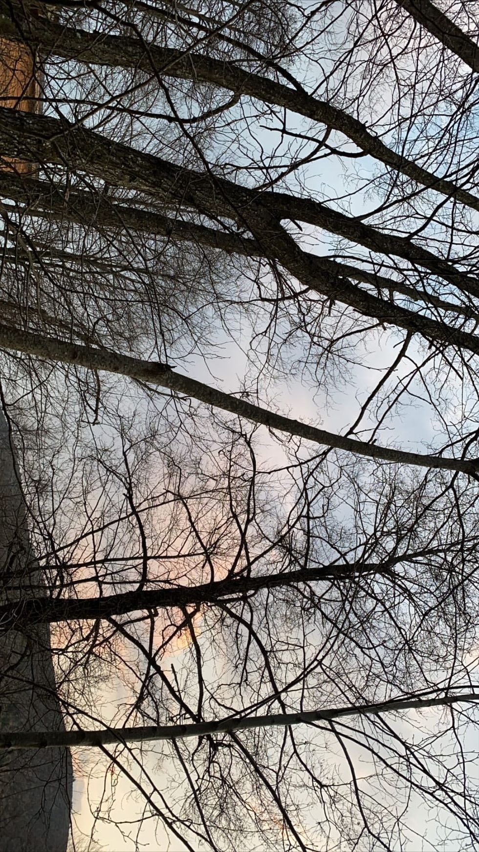 92572320 1483320645180028 3360824590313086140 n