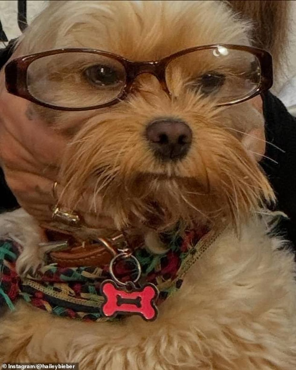 92636123 14141785 Hailey made sure to feature an adorable close up shot of her Yor a 44 1732916443798