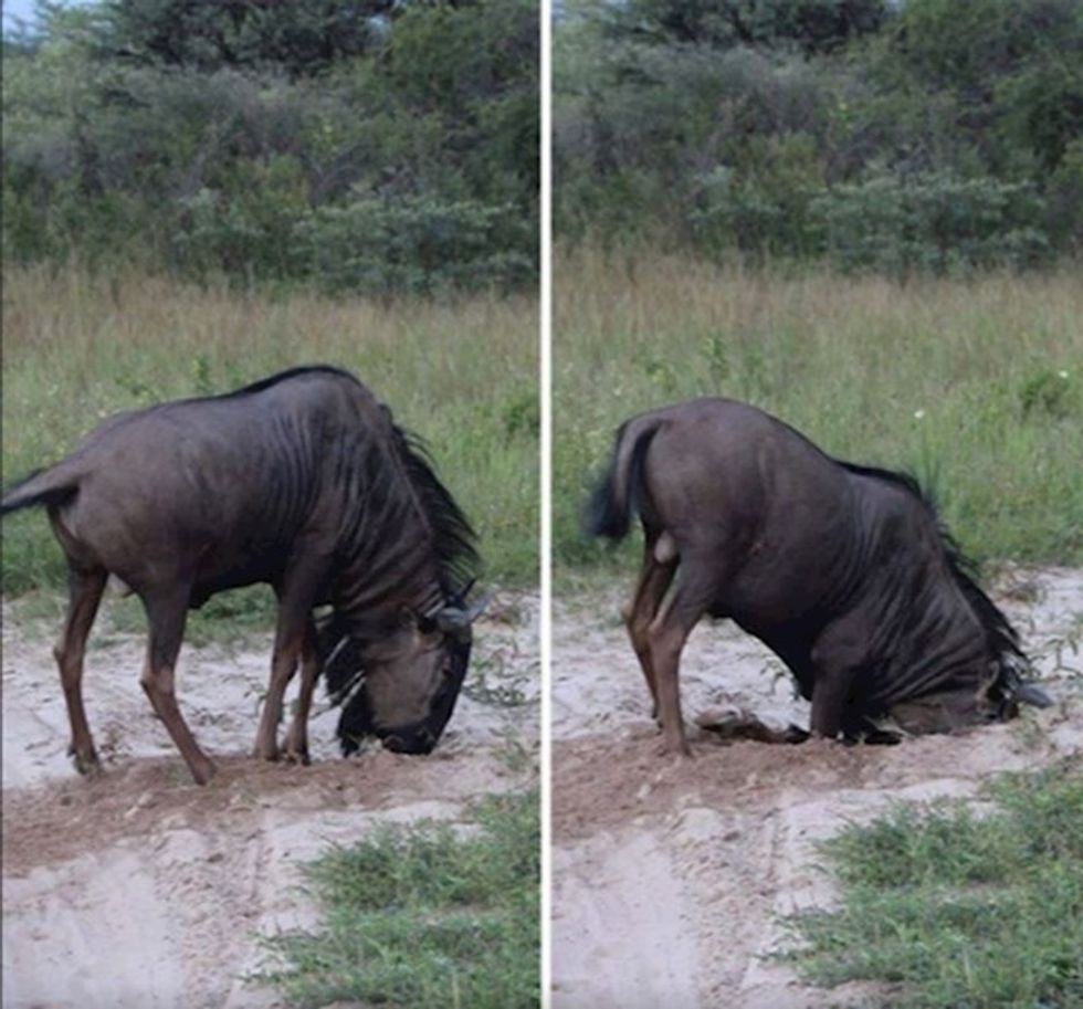 926cd31e 2072 4bb5 a5c8 970857647cba