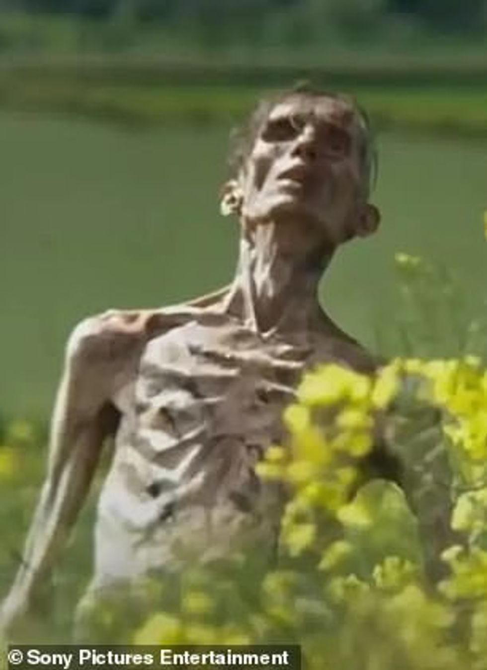 92990789 14270833 Fans are convinced that the zombie featured in the trailer is Ci a 29 1736515715162