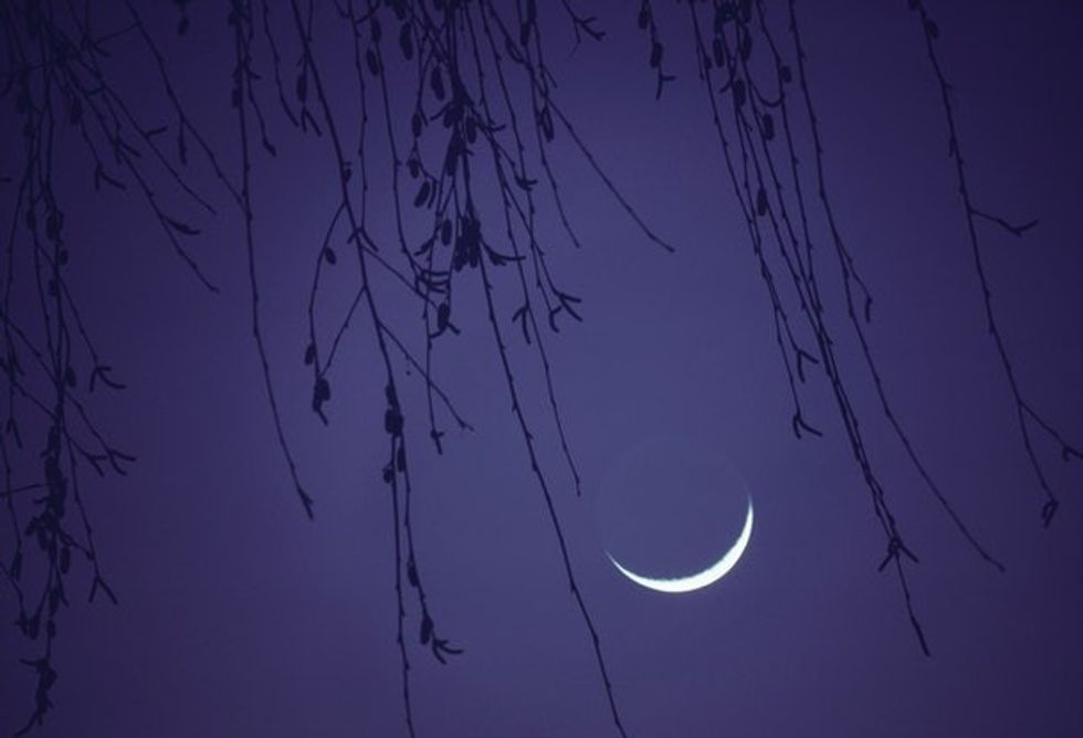 92ca7780 b16c 4fd8 a357 ea370079ff74 gettyimages 158411938