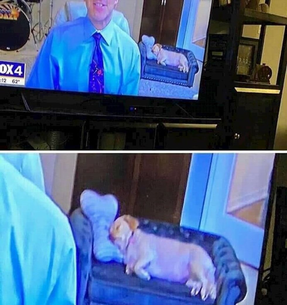 92f18037 1110 44ee 8522 ab594032ef61