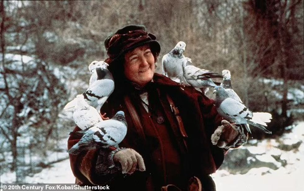 93458169 14224531 image a 9 1735054317064 1