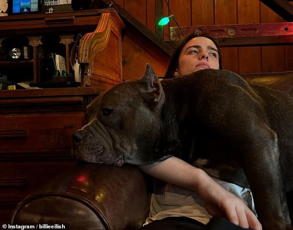 93541951 14232243 Billie Eilish shared a selection of photos from her Christmas ce a 43 1735416406901