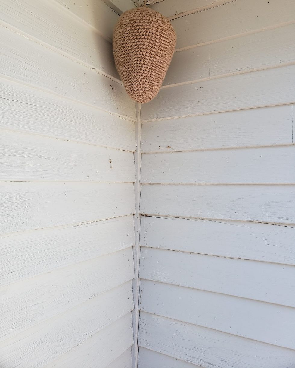 93777263 10222656910395316 2127435346252660736 n