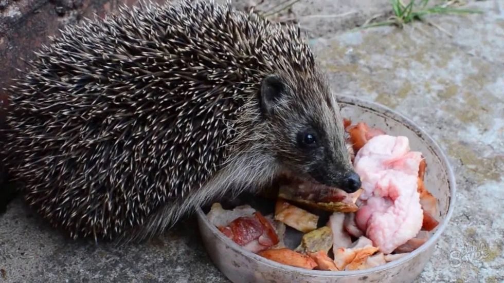 939317e0aba92fe81614384ce93974e7